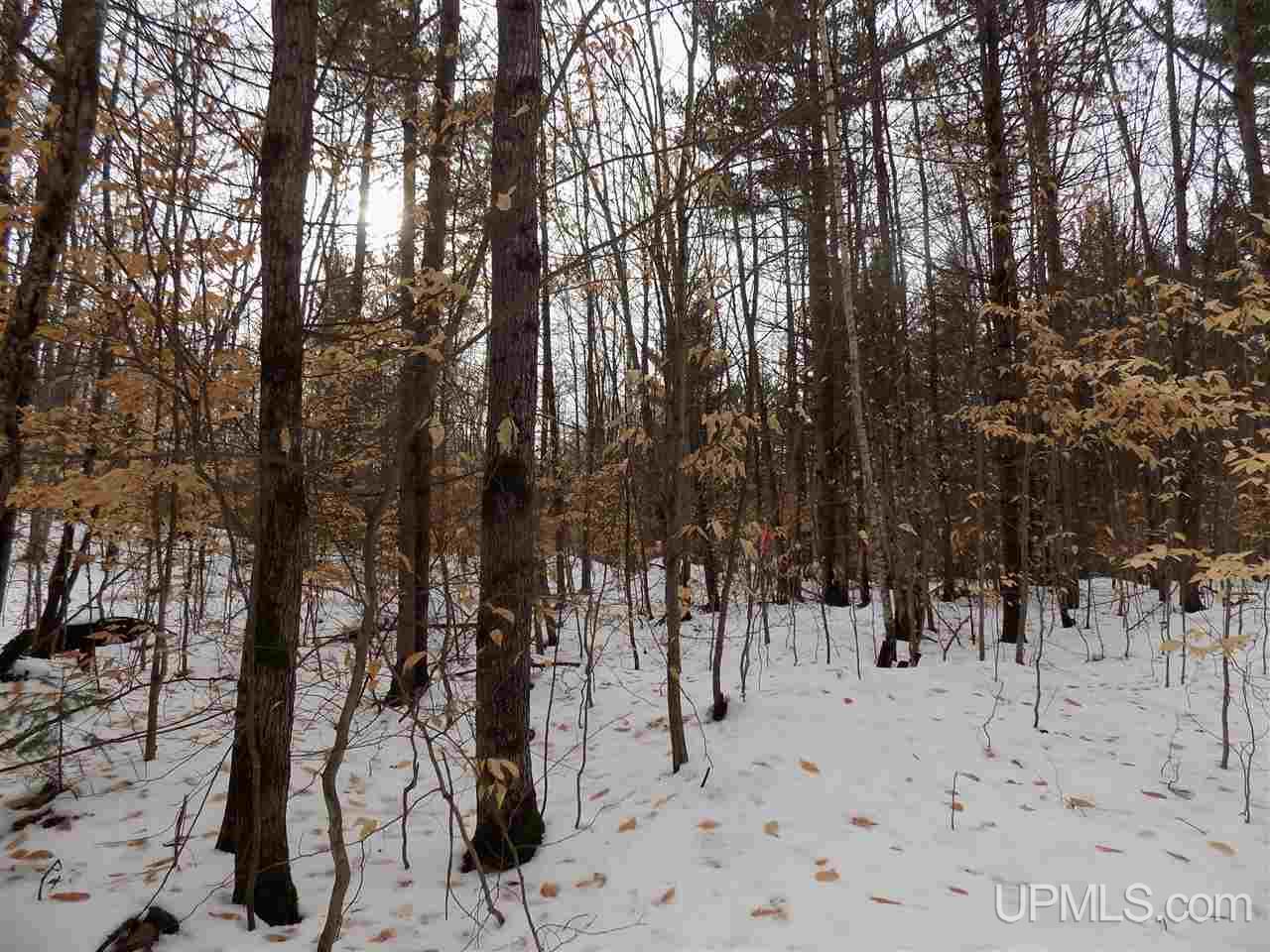 Tbd Co Rd 452 Manistique, MI 49854 - Photo 3 of 12 Gallery Image 3