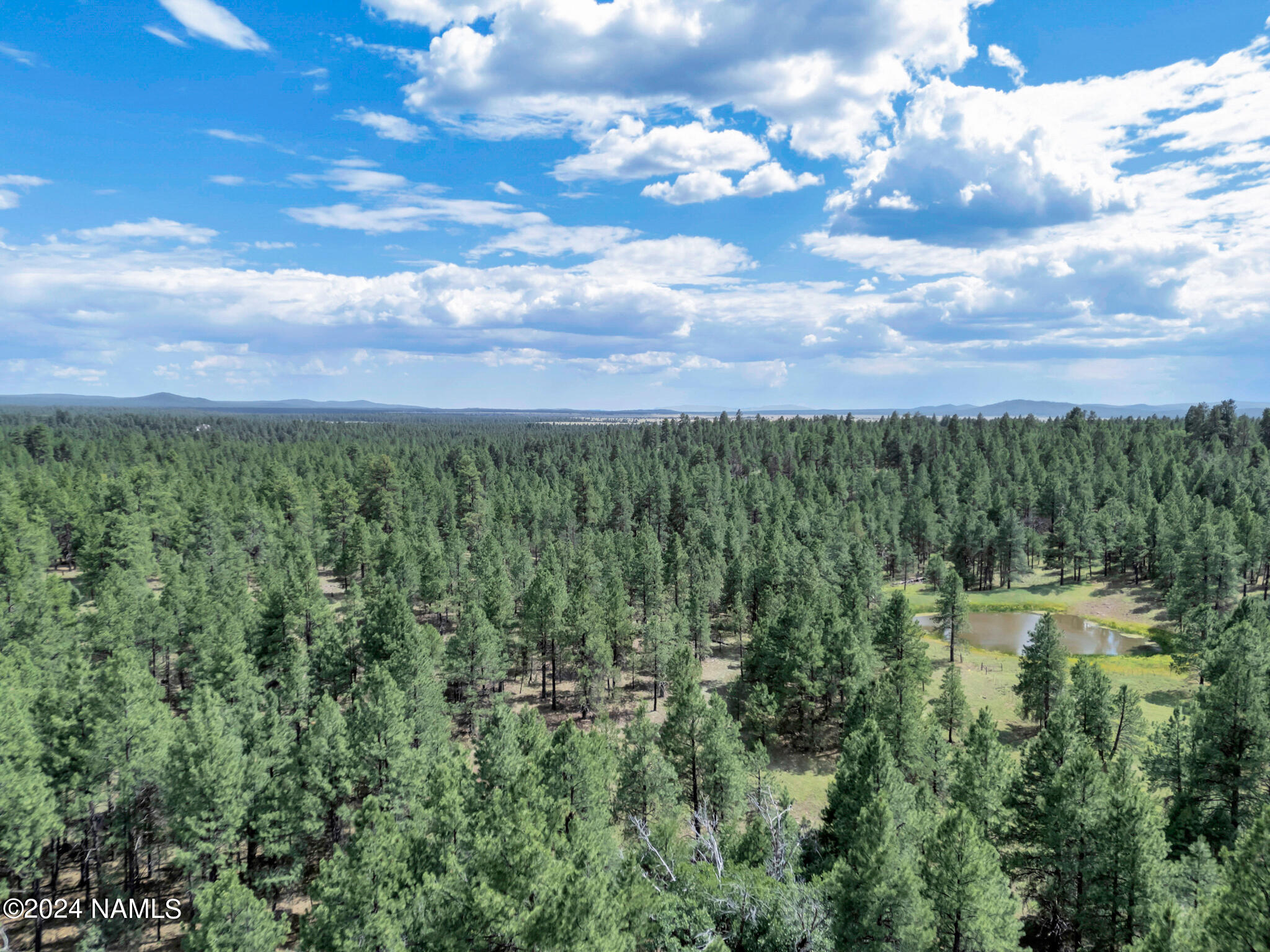 13416 Pioneer Path Parks, AZ 86005 - Photo 46 of 55 Aerial