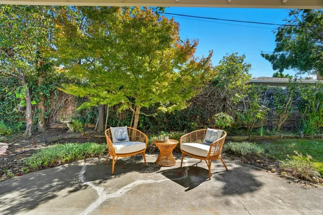 a couple of chairs sitting in a backyard with large trees