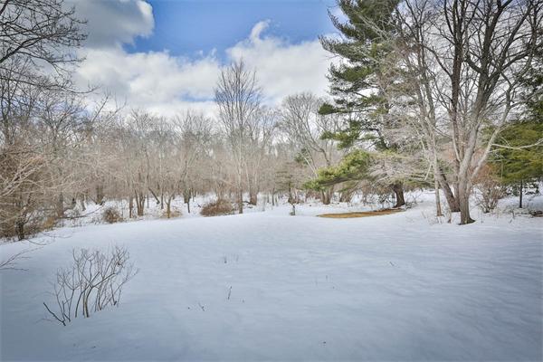 91 Concord Road Bedford, MA 01730 - Photo 18 of 25 Gallery Image 18