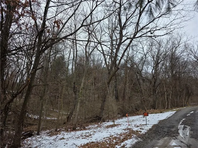 a backyard of a house with large trees