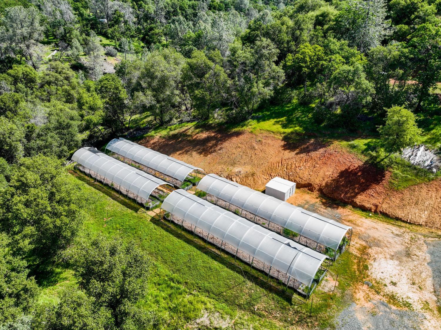 15806 Perimeter Road Grass Valley, CA 95949 - Photo 45 of 48