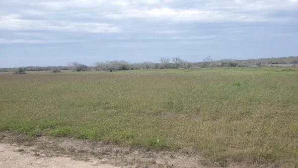 $45,000 | Lot 5 T-head Drive, Riviera, TX 78379