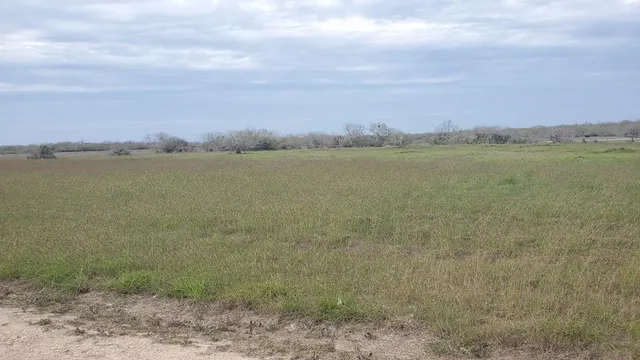 $45,000 | Lot 5 T-head Drive, Riviera, TX 78379