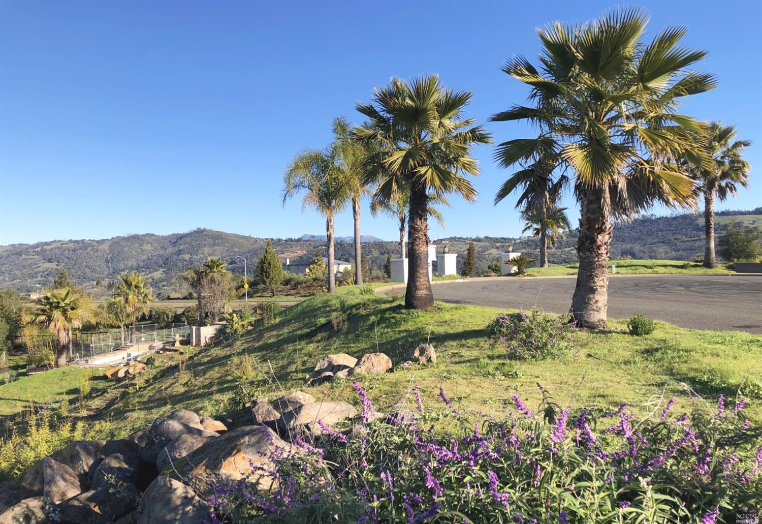 3877 Rocky Point Way Santa Rosa, CA 95404 - Photo 1 of 1 a view of a yard with a tree