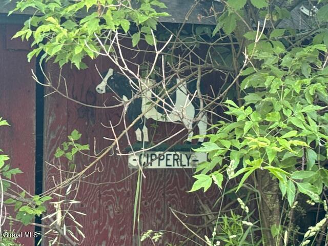 25 William Cipperly Road Hoosick, NY 12090 - Photo 42 of 53 IMG_6564