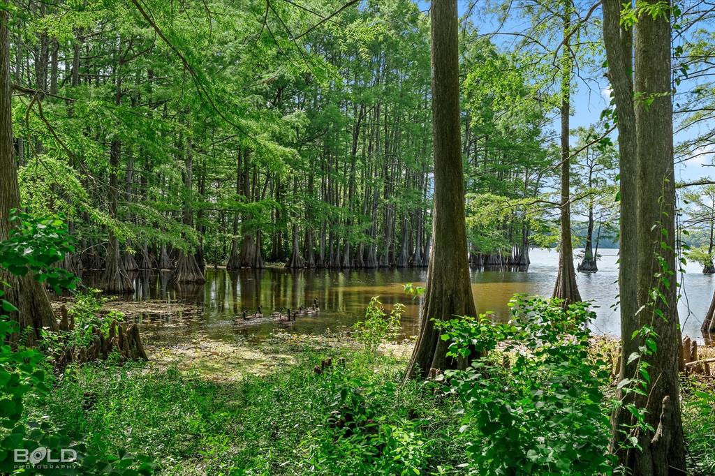 11259 Ferry Lake Road Oil City, LA 71061 - Photo 39 of 40