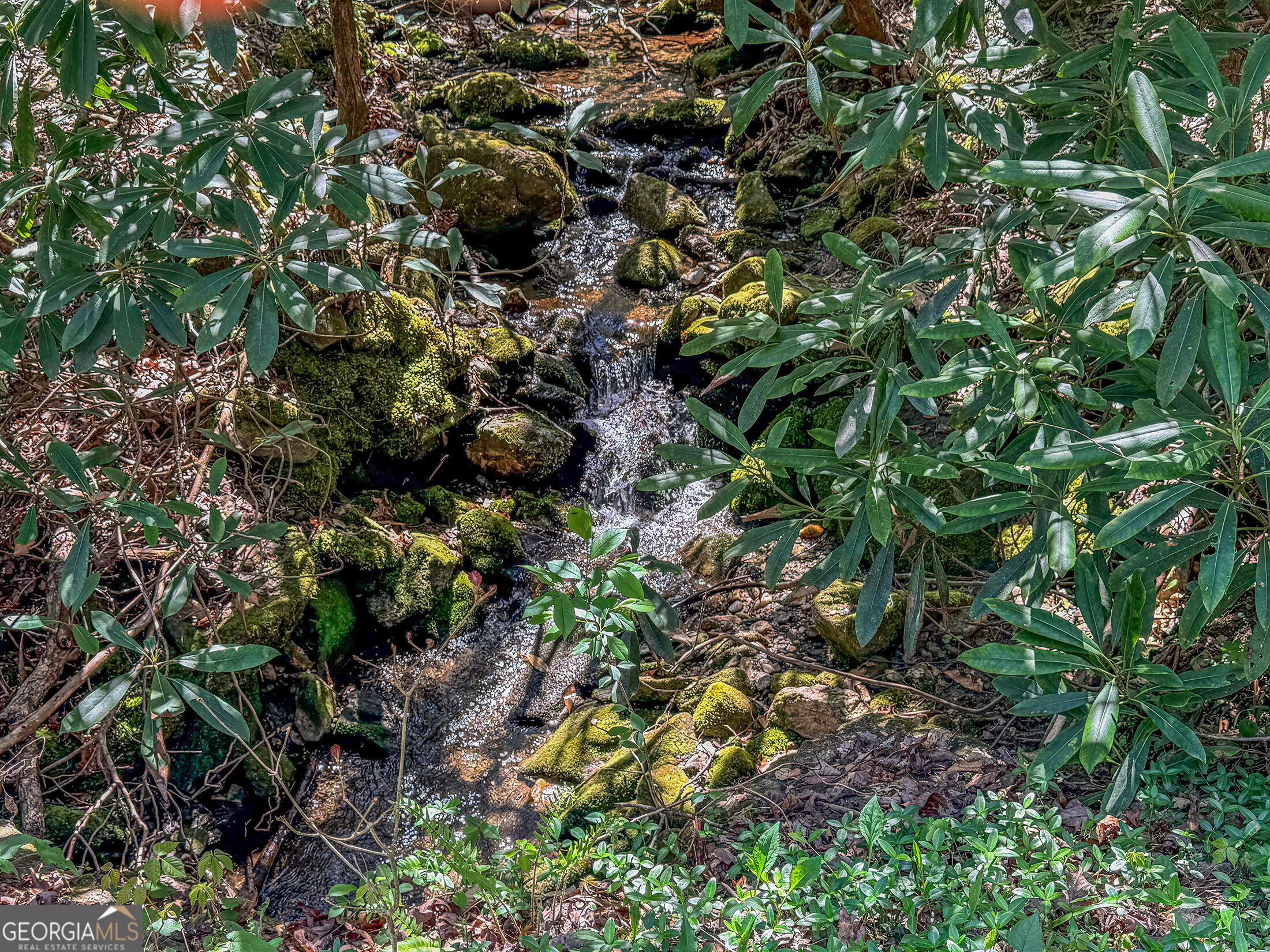 5 Outback Lane Rabun Gap, GA 30568 - Photo 6 of 7 Gallery Image 6