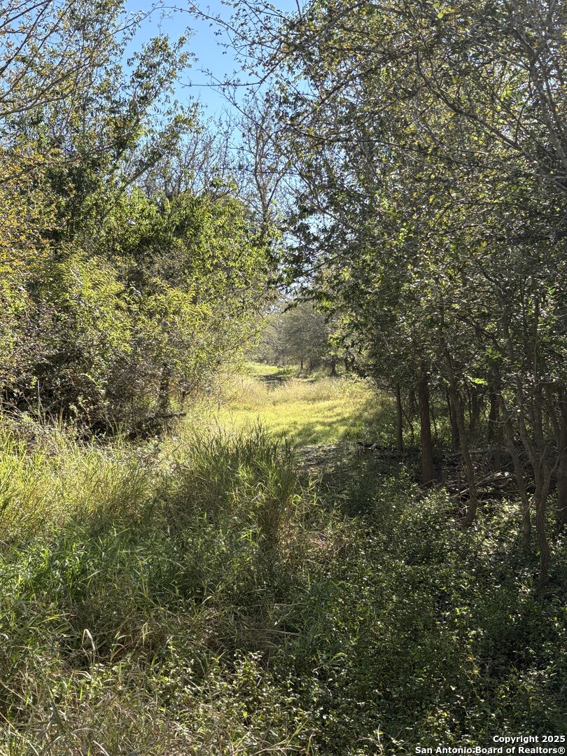 0 Iuka Charlotte, TX 78065 - Photo 2 of 5