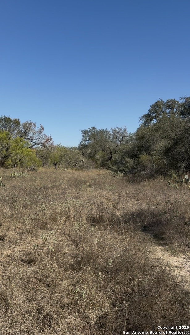 0 Iuka Charlotte, TX 78065 - Photo 4 of 5