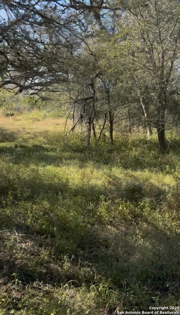 0 Iuka Charlotte, TX 78065 - Photo 5 of 5