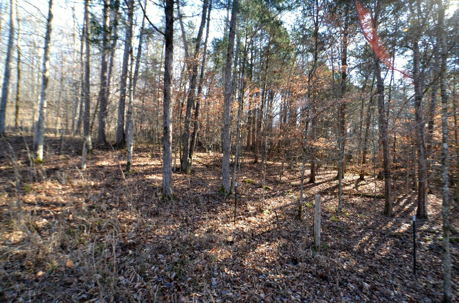 146 Opossum Run Road Irvine, KY 40336 - Photo 34 of 64 North side of the farm!
