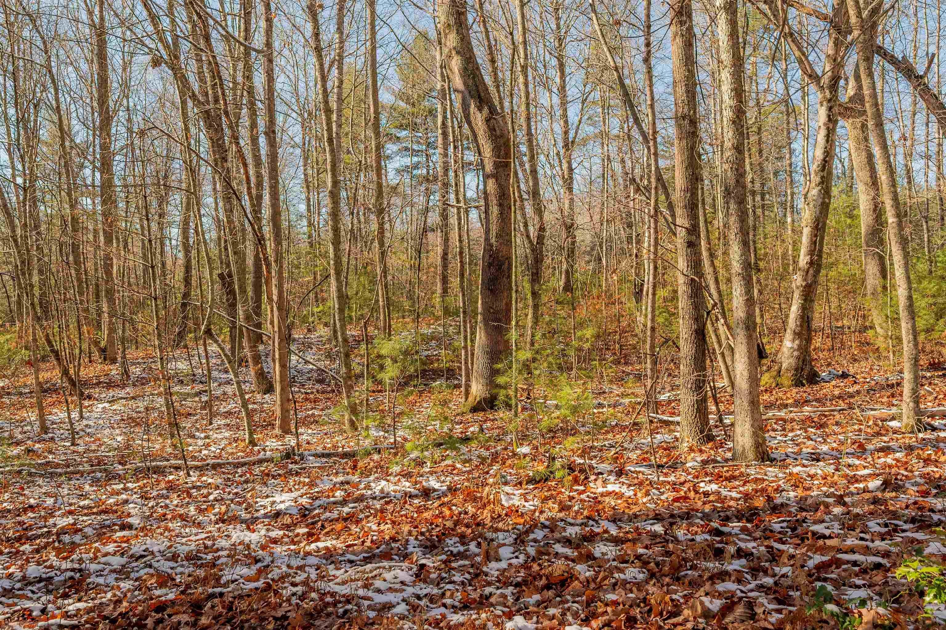 0 Willis Road Floyd, VA 24091 - Photo 16 of 17 Gallery Image 16