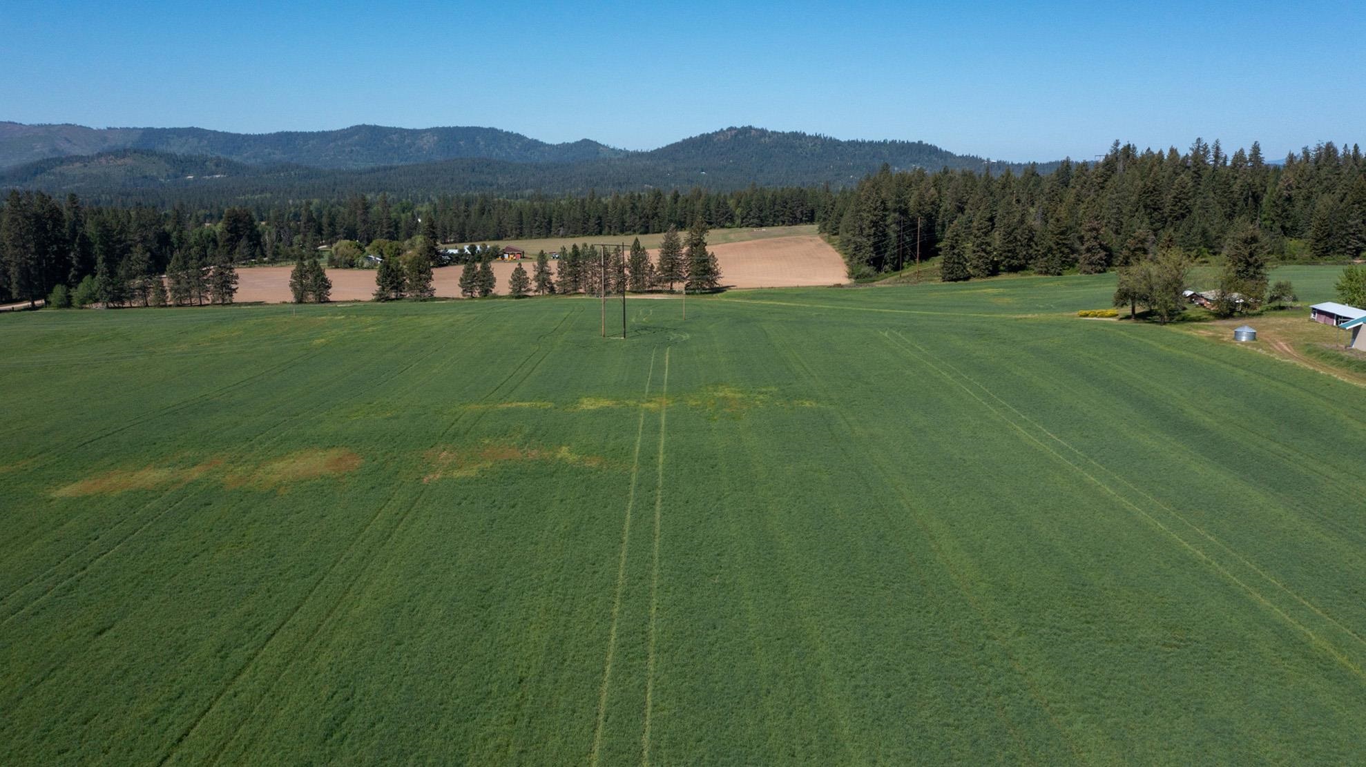 4881 A Carr Road Clayton, WA 99110 - Photo 37 of 44