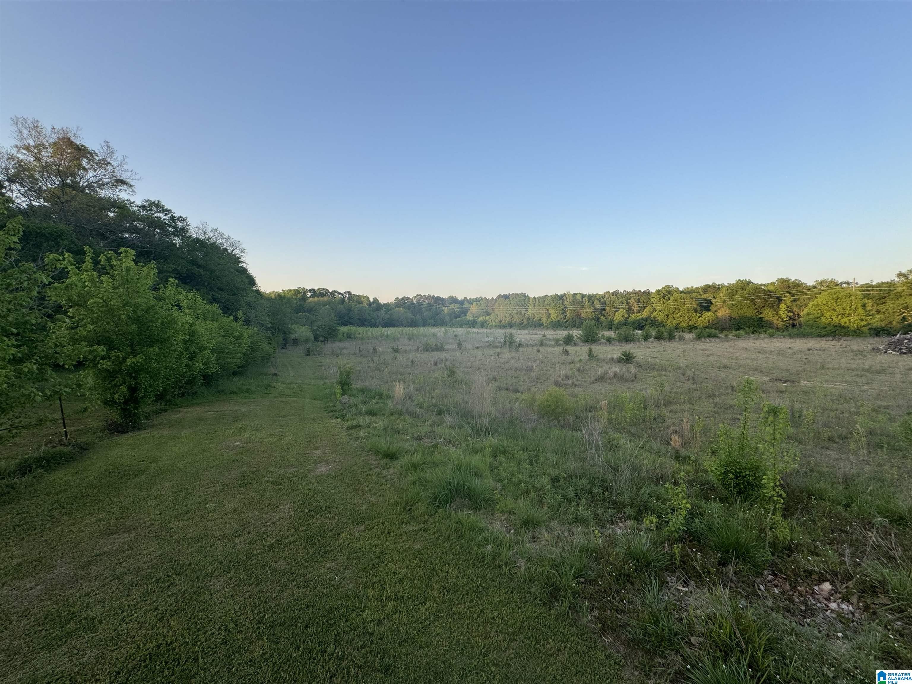 40 Page Creek Road, Unit 1 Wilsonville, AL 35186 - Photo 7 of 12 Gallery Image 7