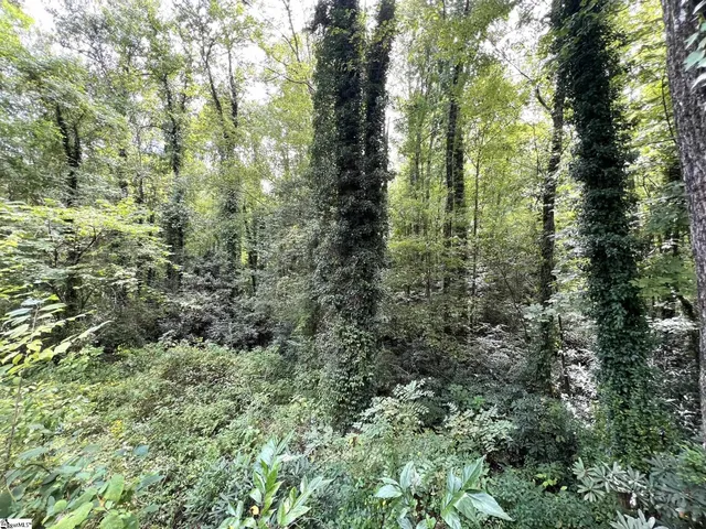 $199,900 | 306 Rocky Bottom Road, Sunset, SC 29685