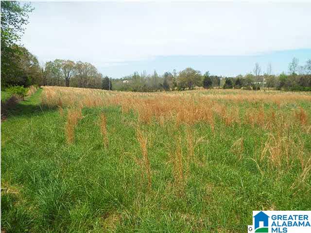 306 Hamm Road Blountsville, AL 35031 - Photo 10 of 28