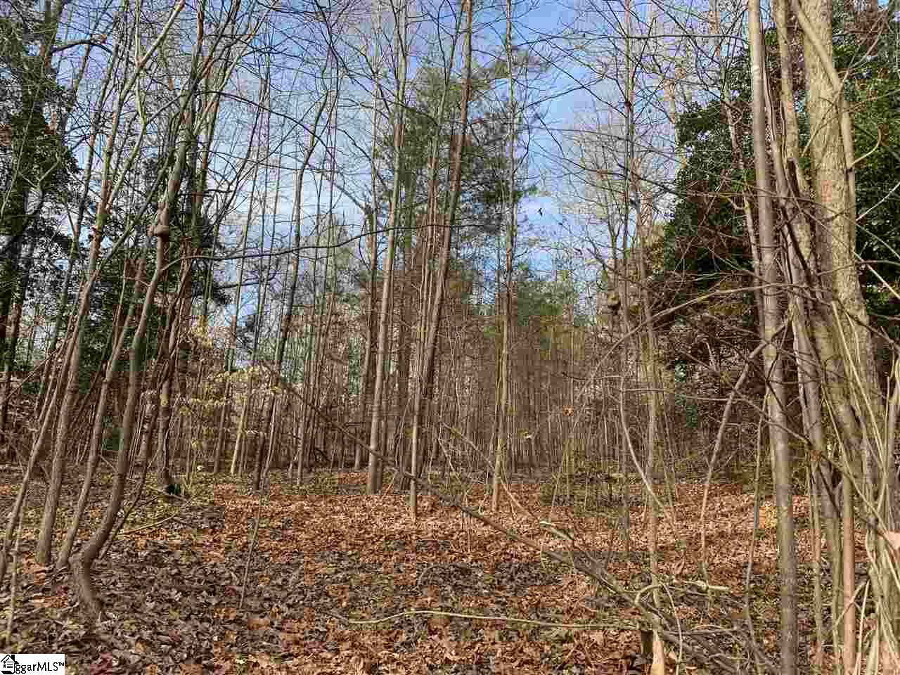228 State Rd S-42-7477 Greer, SC 29651 - Photo 1 of 3 Gallery Image 1
