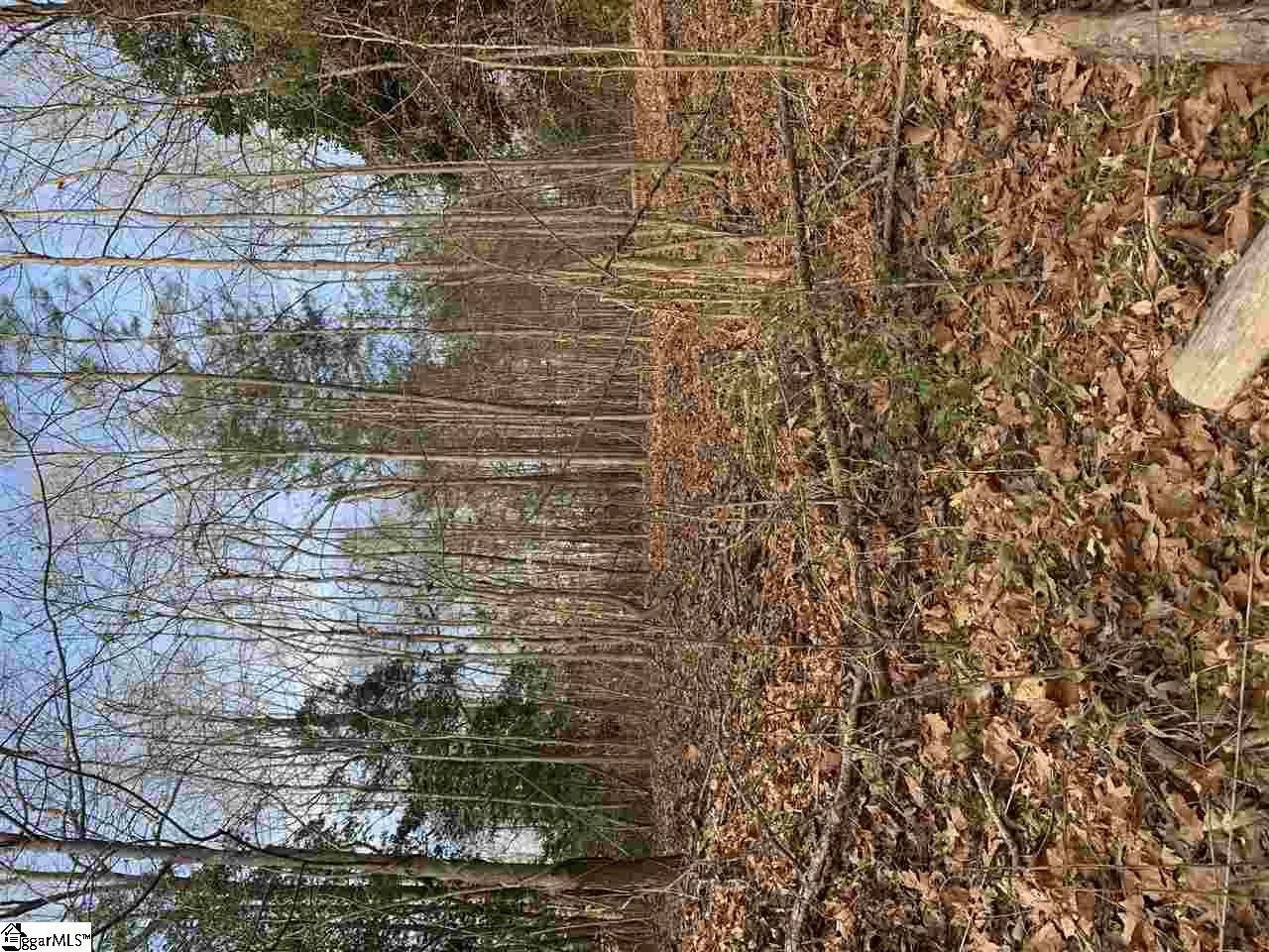 228 State Rd S-42-7477 Greer, SC 29651 - Photo 2 of 3 Gallery Image 2