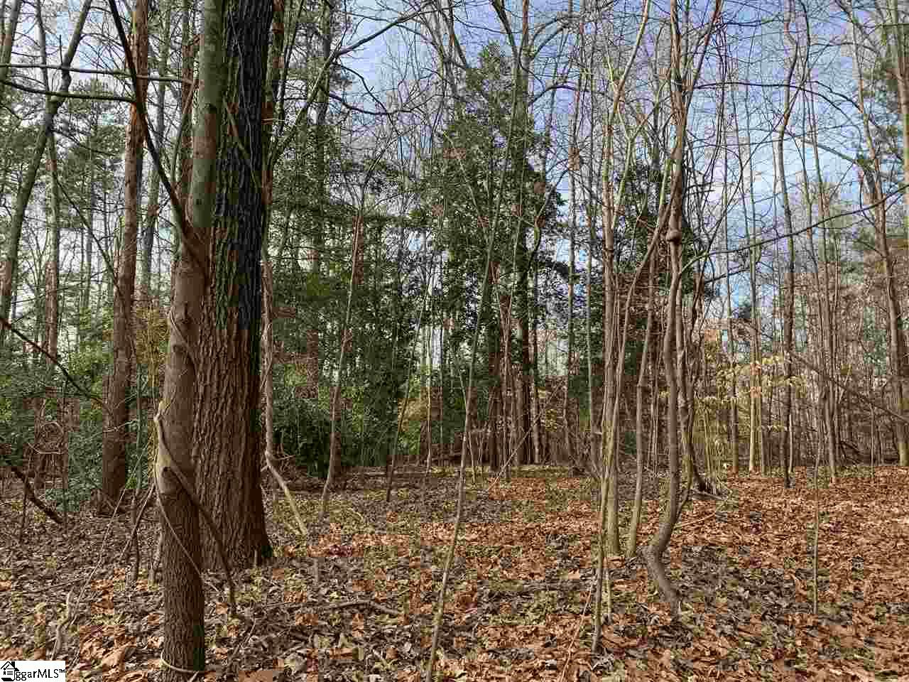 228 State Rd S-42-7477 Greer, SC 29651 - Photo 3 of 3 Gallery Image 3