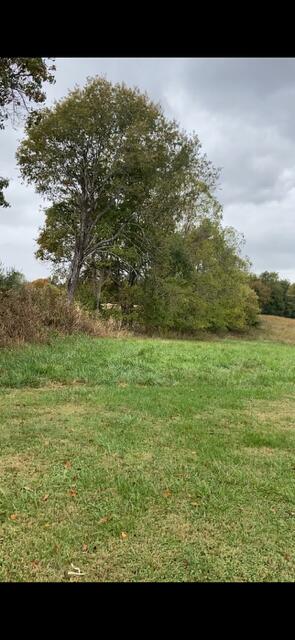 0 Davis Road Campbellsville, KY 42718 - Photo 12 of 18 IMG_0973