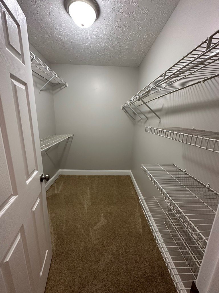 4942 Cedar Ridge Court Columbus, GA 31909 - Photo 25 of 57 1st walk-in-closet