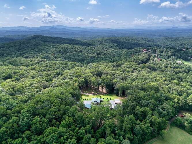 245 Panther Hill Road Murphy, NC 28906 - Photo 54 of 57 a view of a lush green forest