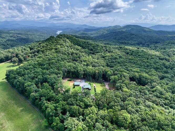 245 Panther Hill Road Murphy, NC 28906 - Photo 55 of 57 a view of a lush green forest with lots of trees