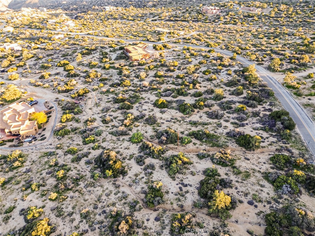 63400 Carrizo Road Mountain Center, CA 92561 - Photo 35 of 42 a view of a yard with a tree