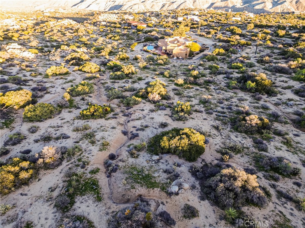 63400 Carrizo Road Mountain Center, CA 92561 - Photo 37 of 42 a view of yard