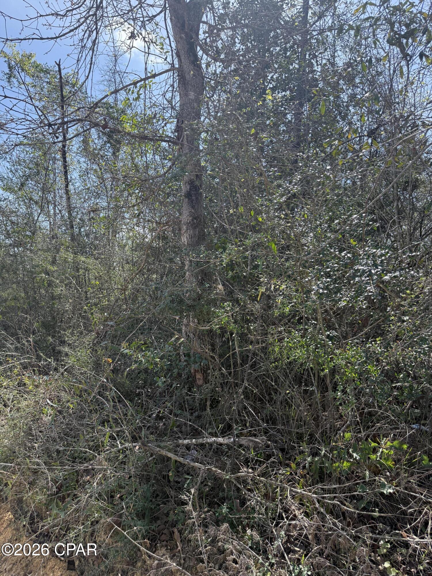 0 Mt Ararat Road Marianna, FL 32448 - Photo 1 of 2