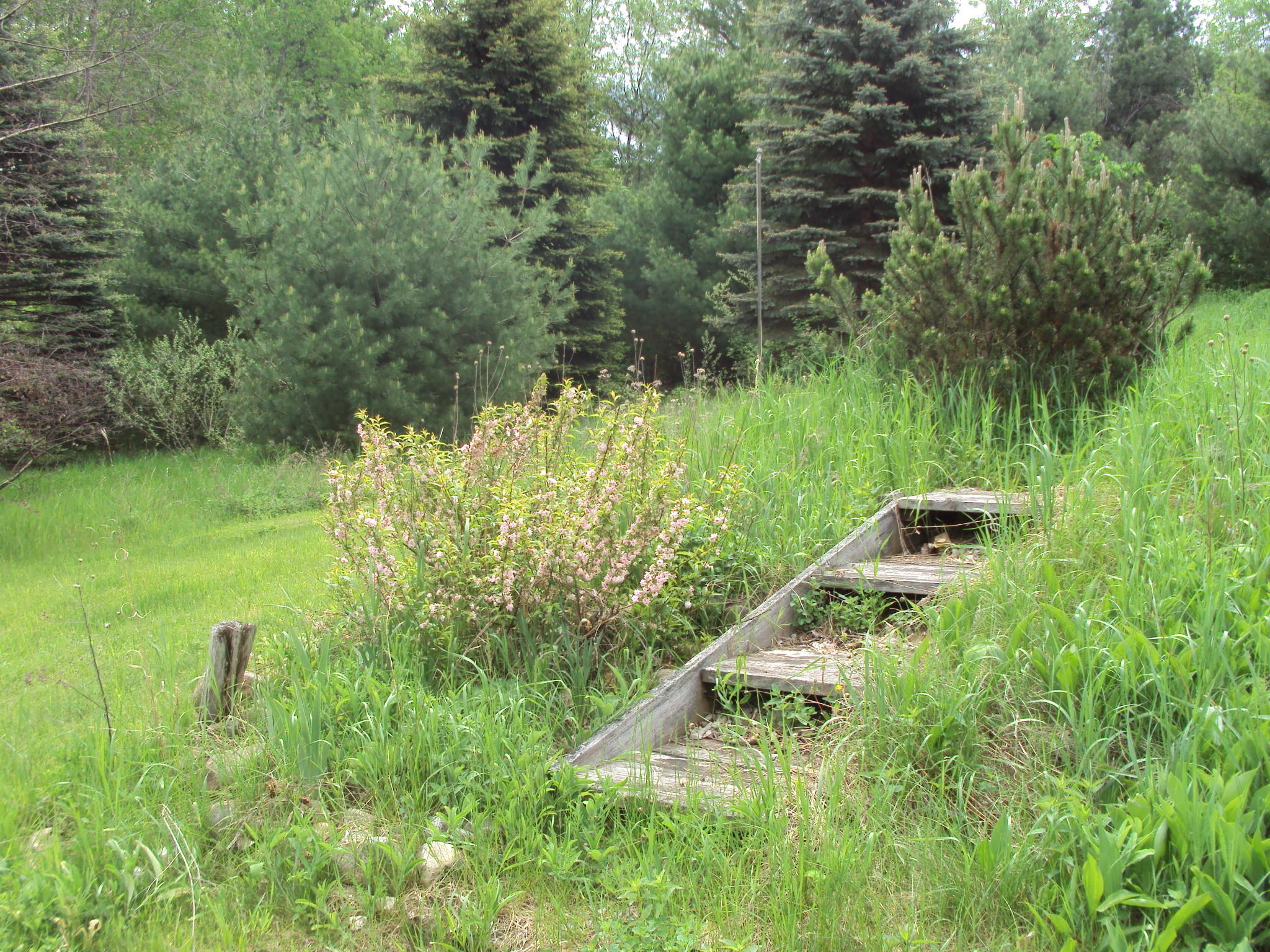 3480 Bowman Road Alanson, MI 49706 - Photo 32 of 36 Gallery Image 32