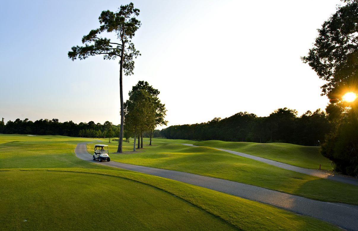 3117 Sturbridge Road Mount Pleasant, SC 29466 - Photo 15 of 28 18 Hole Golf Course