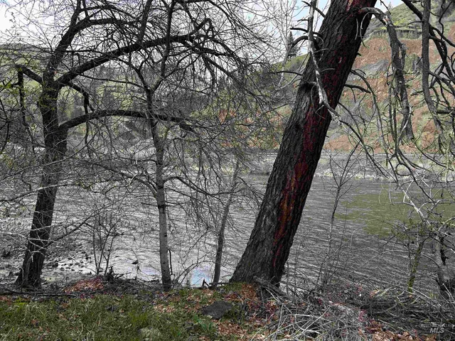 $142,500 | Tbd Mill Street, Kooskia, ID 83539