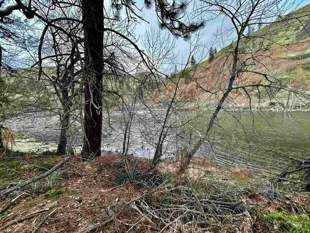 $142,500 | Tbd Mill Street, Kooskia, ID 83539