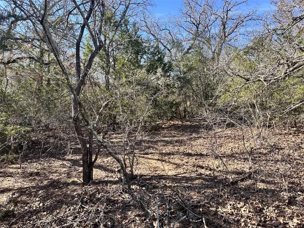 a view of outdoor space