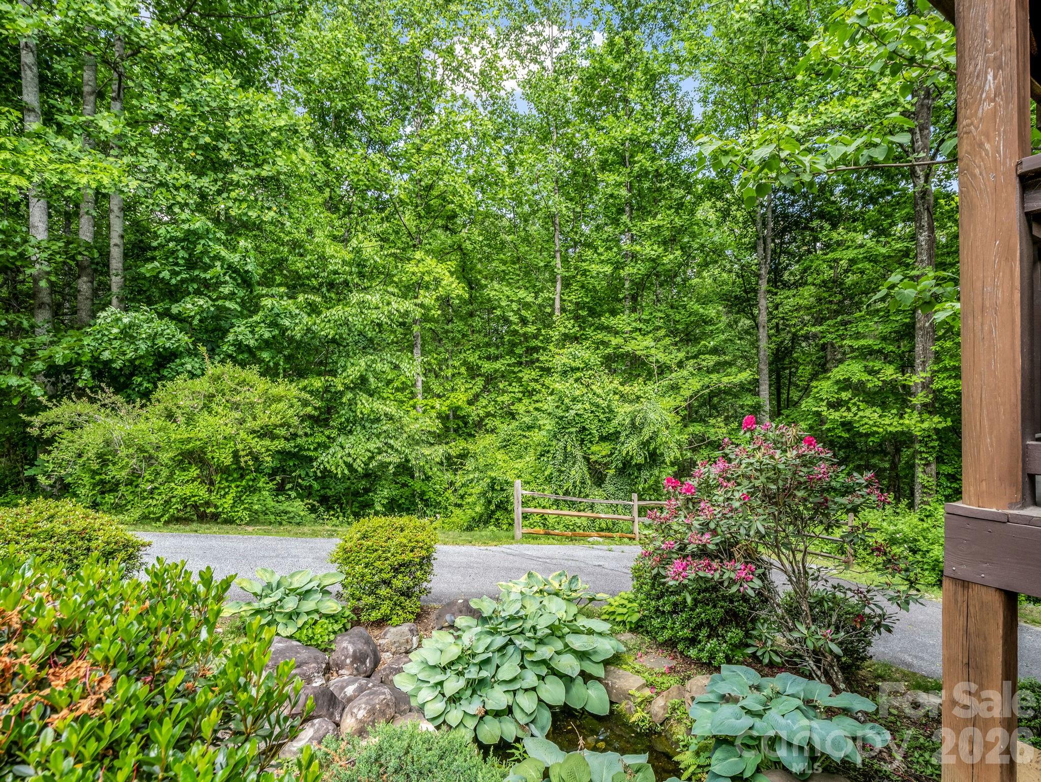 165 Dream Road Hendersonville, NC 28792 - Photo 5 of 46 a view of a garden with plants and large trees