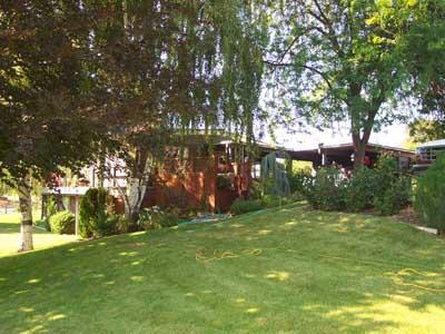 113 Sand Hill Road Grandview, WA 98930 - Photo 23 of 24 a view of a trees in a yard