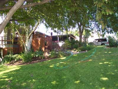 113 Sand Hill Road Grandview, WA 98930 - Photo 6 of 24 a view of a garden with a tree