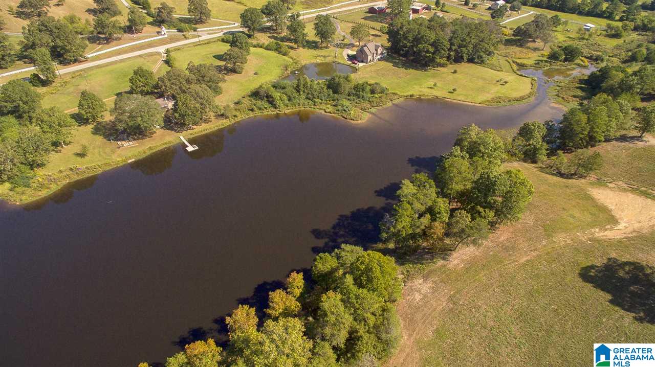 Lot 10 Whispering Pines Road, Unit 10 Vincent, AL 35178 - Photo 19 of 25
