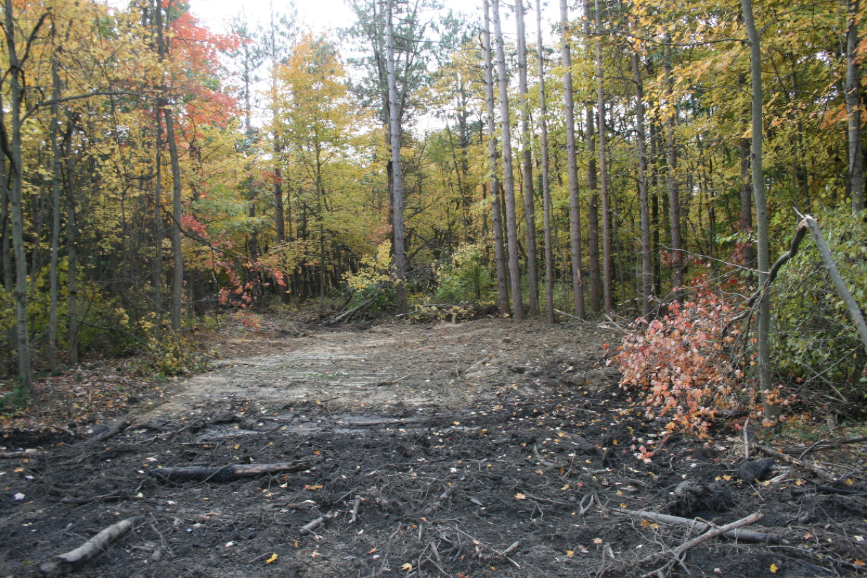 3 Pine Ridge Road Hamilton, MI 49419 - Photo 2 of 8 IMG_6618
