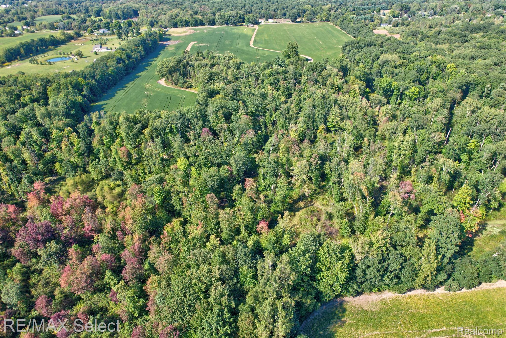 0 East Carpenter Road Davison, MI 48423 - Photo 8 of 18 Gallery Image 8