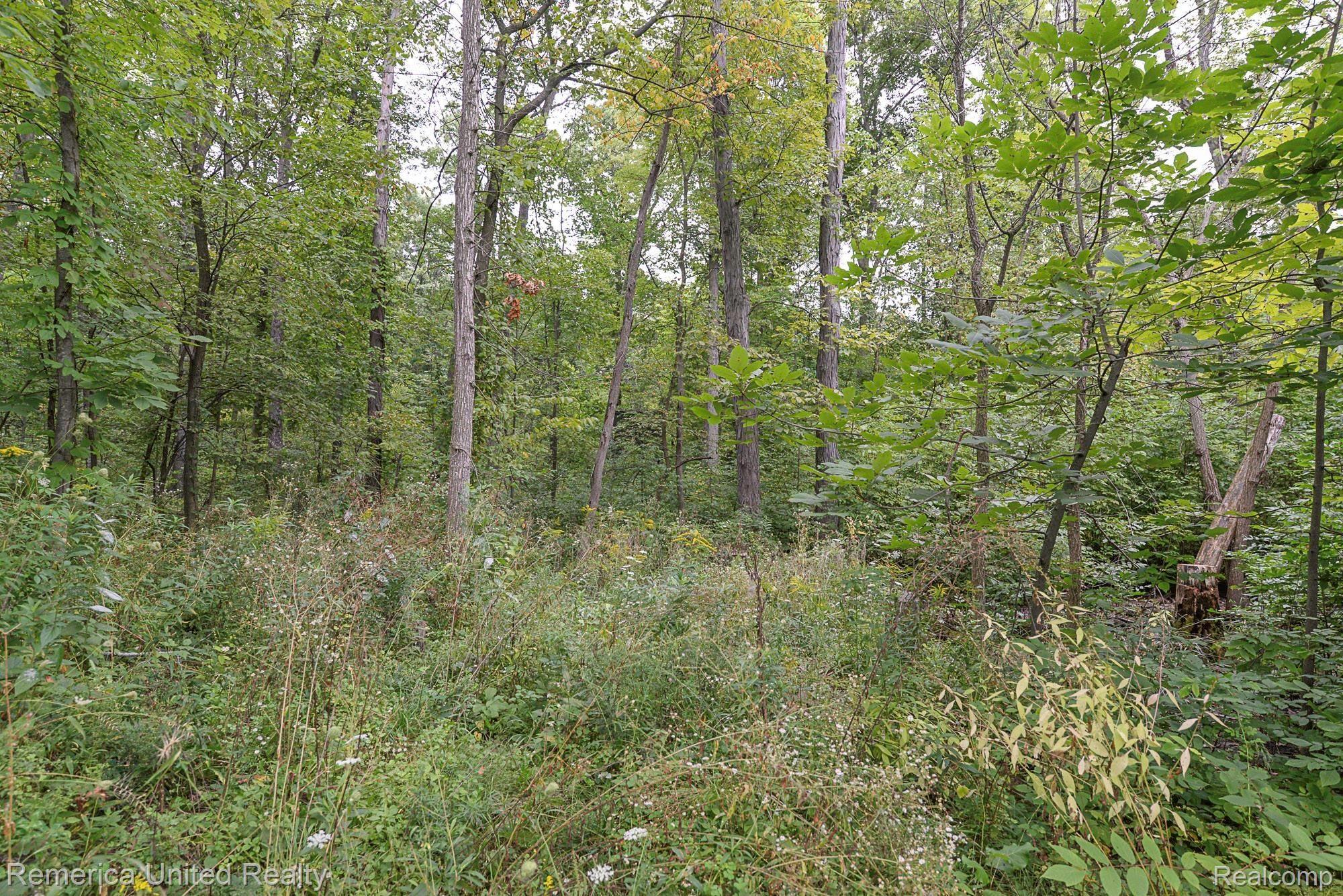 7552 Schrepfer Road Howell, MI 48855 - Photo 4 of 51 DSC_6787.jpg