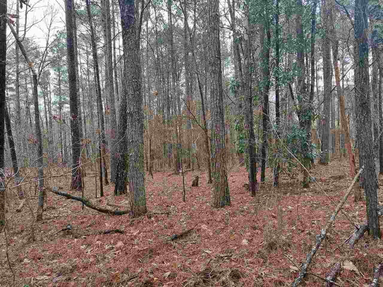 0 Noahs Ark Road Jonesboro, GA 30236 - Photo 1 of 1