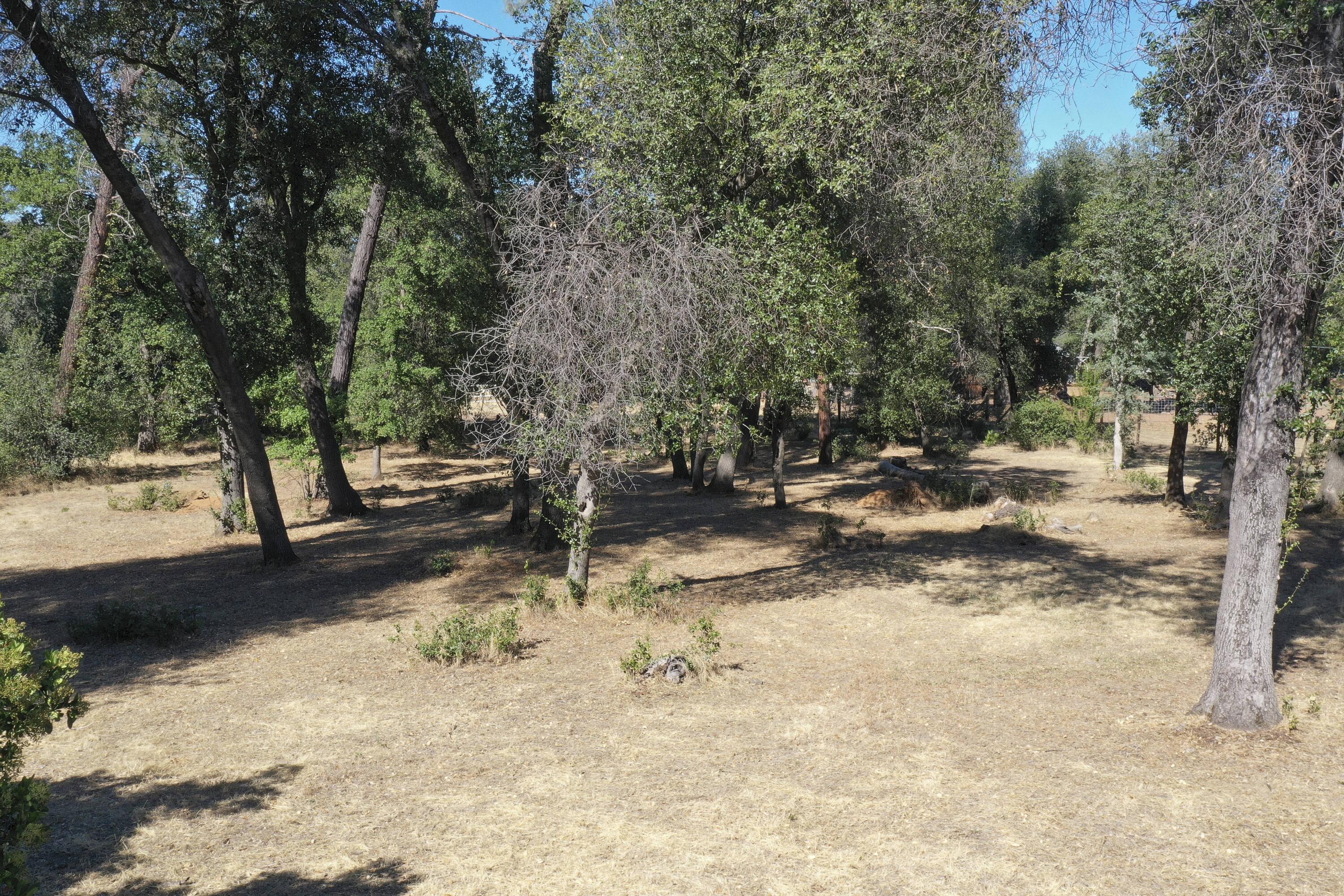 8489 Valley View Road Redding, CA 96001 - Photo 55 of 61 Property