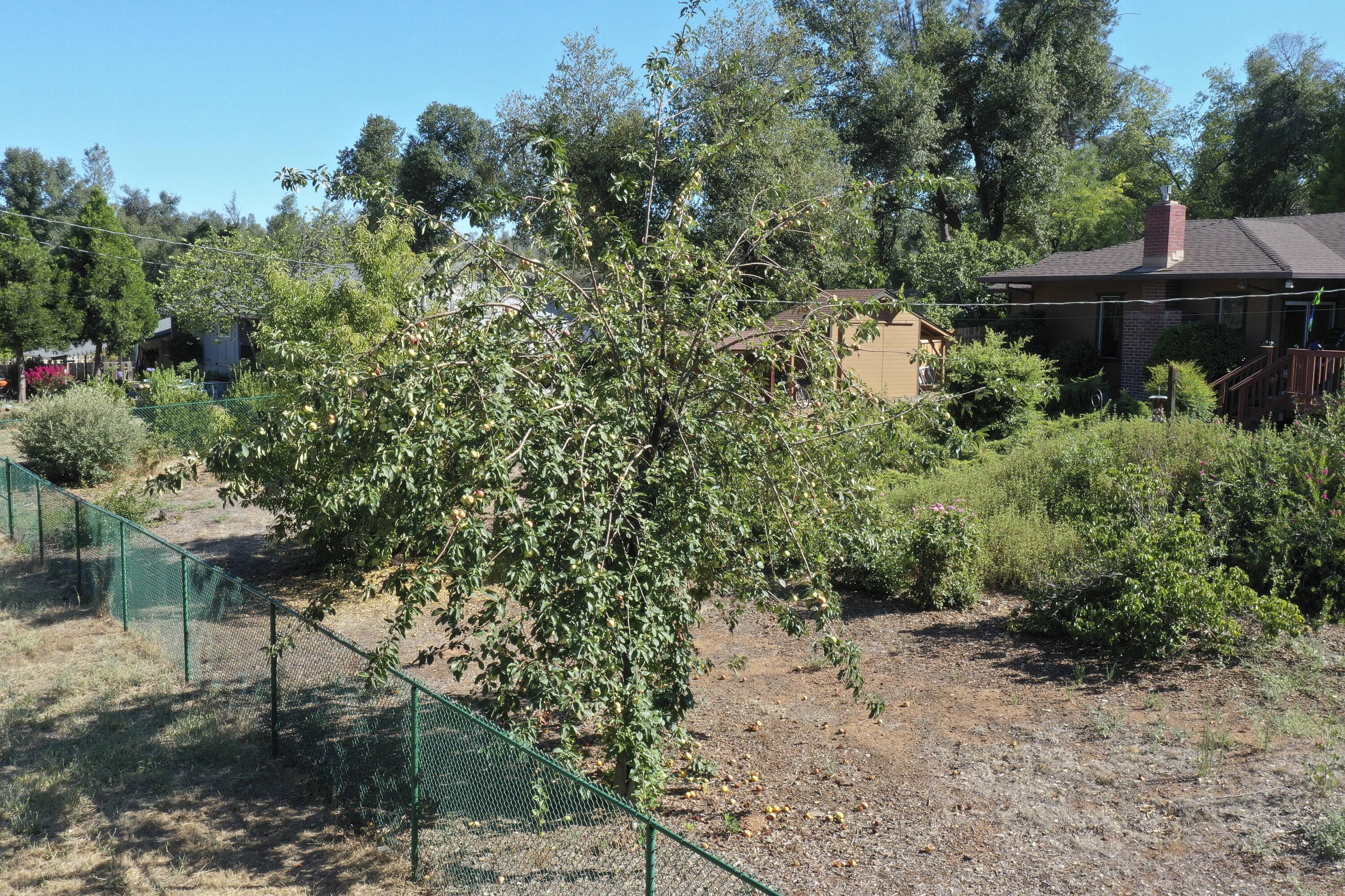 8489 Valley View Road Redding, CA 96001 - Photo 56 of 61 Property
