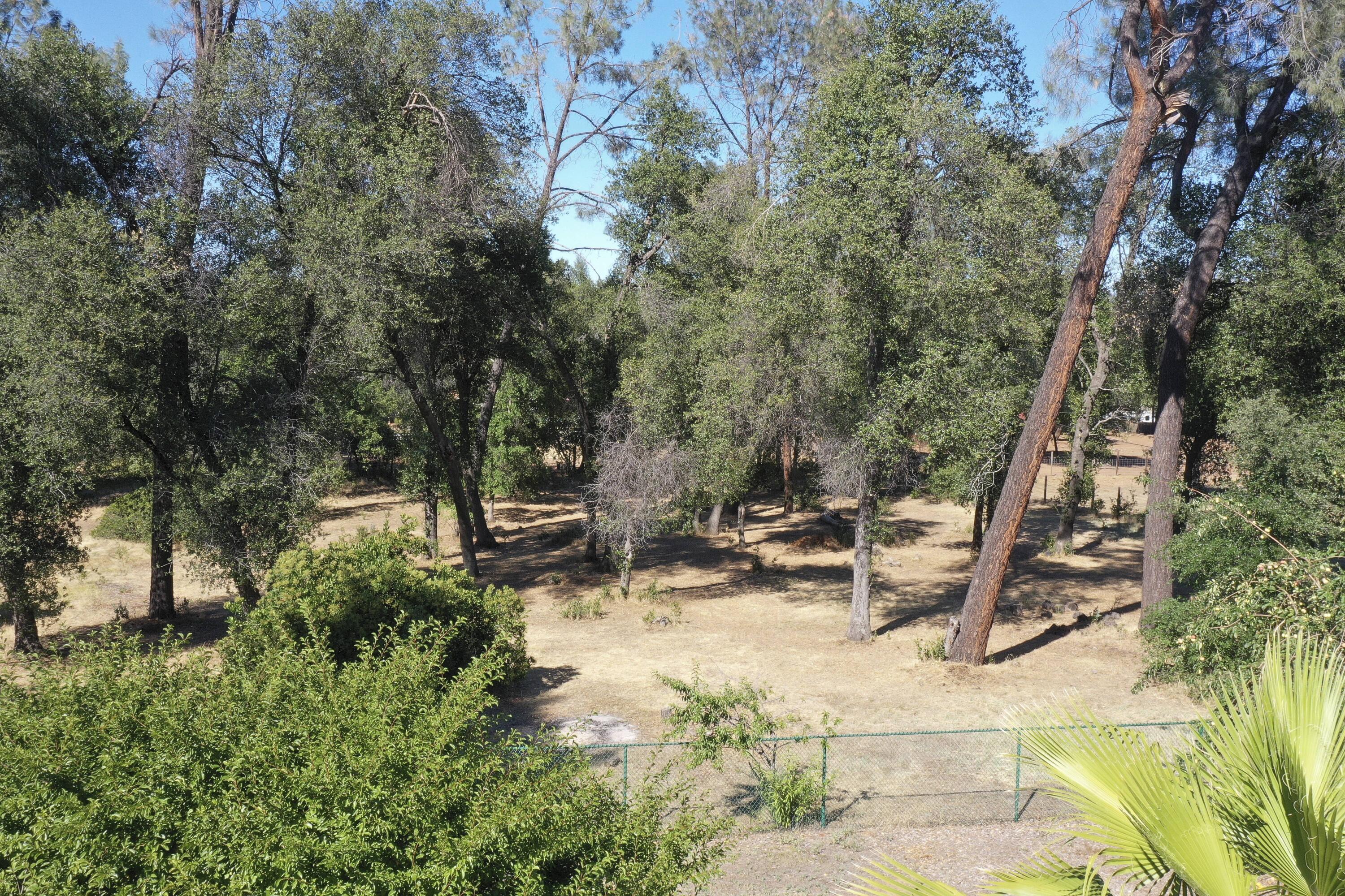 8489 Valley View Road Redding, CA 96001 - Photo 58 of 61 Property