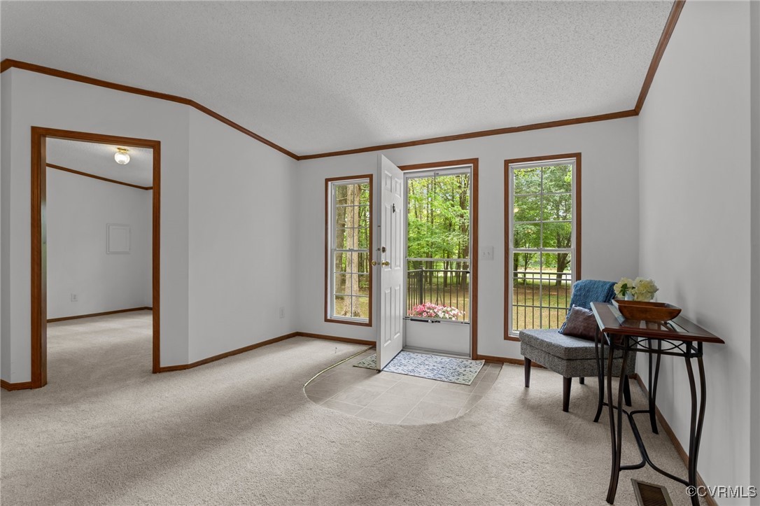 55 Redd Shop Road Farmville, VA 23901 - Photo 12 of 37 a living room with furniture and a floor to ceiling window
