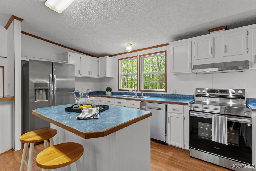 55 Redd Shop Road Farmville, VA 23901 - Photo 15 of 37 a kitchen with a stove a sink and a refrigerator