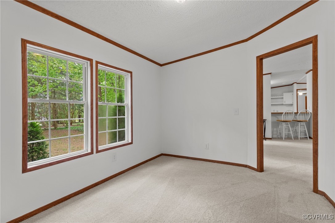 55 Redd Shop Road Farmville, VA 23901 - Photo 20 of 37 a view of an empty room with a window